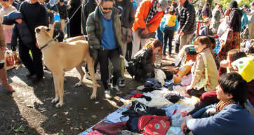Yoyogi Park Flea Market